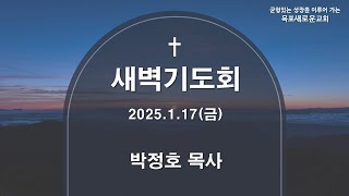 [목포새로운교회] 2025/01/17(금) 새벽예배/ 박정호 목사/ 성경통독 창세기 9-10장