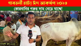 ২০২৩ কোরবানির লাল গরু এসেছে হাটে! কেমন দাম চাচ্ছে দেখুন! গাবতলী গরুর হাট।। qurbani cow price 2023