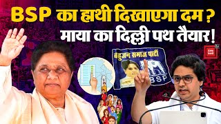 Delhi Vidhan Sabha Chunav 2025: BSP का हाथी दिखाएगा दम?, Mayawati का दिल्ली पथ तैयार! Akash Anand