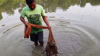 গ্রামের  প্রাকৃতিক  সৌন্দর্যের  সাথে খেবলা জাল দিয়ে পুকুরের মাছ ধরার বাহার/ best Net fishing video