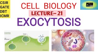 CELL BIOLOGY-- EXOCYTOSIS  || CSIR || GATE || DBT|| ICMR