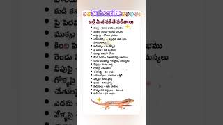 బల్లి మిడ పడితే #shorts #ytshorts #peace of mind vlogs