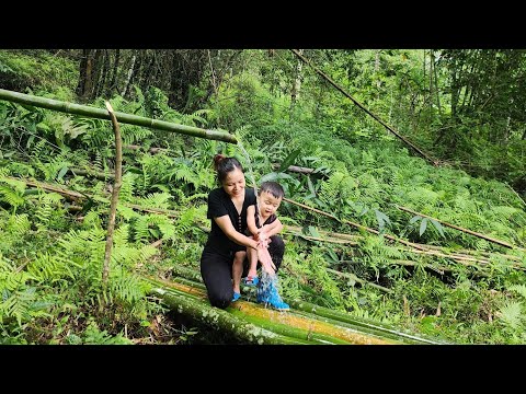 Madre soltera y niño van a buscar agua al bosque para uso diario – cocina completa