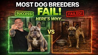 How to Start a Dog Breeding Program (Avoid These 6 Beginner Mistakes)