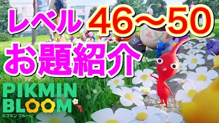 【ピクミンブルーム】レベル46~50になるためのお題を紹介！【スマホアプリ】