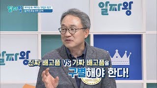 [다이어트] 배고픈 것에도 종류가 있다?! 진짜 배고픔 vs 식탐 알짜왕 35회