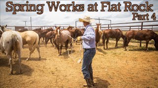 Roping horses  Flatrock Ranchin - Rodeo Time 210 part 4