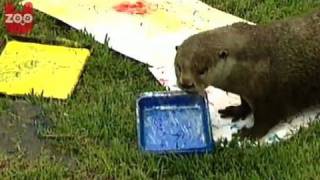 Artistic Otter Likes to Paint