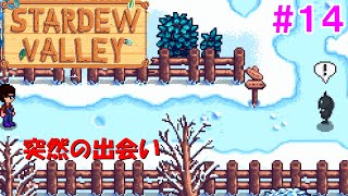 【牧場ゲーム　SLG】【Stardew Valley】スターデューバレー＃１４　へんな人出てきたんですけど・・・