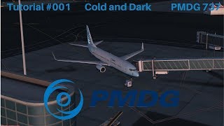 FSX || PMDG 737-800 || C&D Startup || Tutorial #001