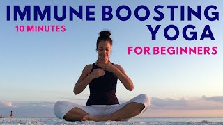 Immune Boosting Yoga for Beginners -10 minutes