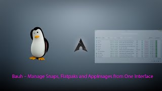 Bauh – Manage Snaps, Flatpaks and AppImages from One Interface , arch linux