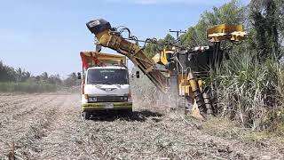 รีวิว รถตัดอ้อย CAMECO sugar case harvester and truck ตอนที่ 2 EP.2616