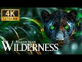 Incredible Wildlife Exploration in 4K with Relaxing Music