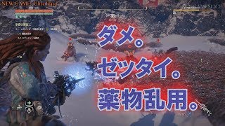 ホライゾン(NG+UH) 凍てついた大地 『制御の腕試し』 縛りプレイ | FUNGAMESLICE