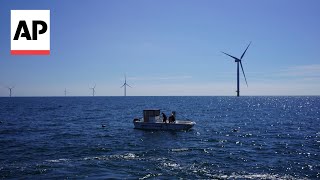 Beneath offshore wind turbines, researchers grow seafood and seaweed