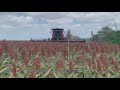 Hurricane Beryl | Farmers in South Texas preparing for the worst