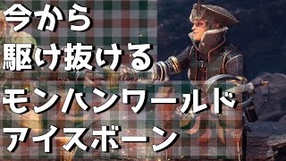 MHWI】エンドコンテンツまで駆け抜けたい初心者ハンターに贈る武器防具装備選び最新版2020/11/10【モンハンワールドアイスボーン】