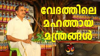 വേദത്തിലെ മഹത്തായ മന്ത്രങ്ങൾ | Dr N Gopalakrishnan @hinduismmalayalam