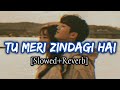 Tu Meri Zindagi Hai (Slowed+Reverb) | Kumar Sanu And Anuradha Paudwal | Aashiqui
