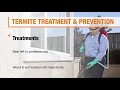 how to get rid of termites diy pest control the home depot