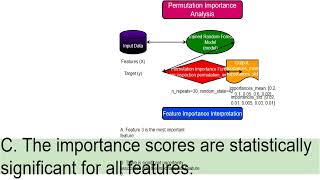 Inspection permutationimportance 1