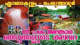 Friends Fish Farm Keezhillam Perumbavoor (ഫ്രണ്ട്സ് ഫിഷ് ഫാം)#fishfarmkerala February 01,2020