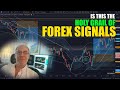 Is This The Holy Grail Of Forex Signals?