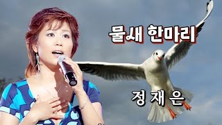 가수-정재은 노래-[물새 한마리]-(원곡 : 하춘화).