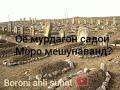 оё мурдагон садои моро мешунаванд