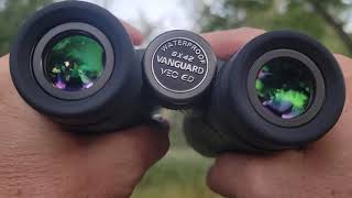 Vanguard VEO ED Binocular