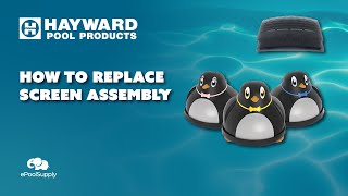 Replace Hayward Penguin Screen  - AXV513BK