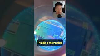 What's inside an Apple microchip?