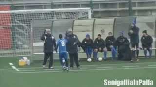 SenigalliaInPalla \u0026 VS PROMO 2013/2014