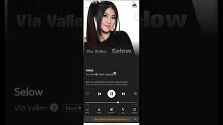 via vallen - selow (lirik lagu)