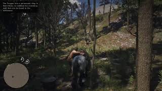 Red Dead Redemption 2 with 403