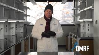 Colds | 60-Second Science | OMRF