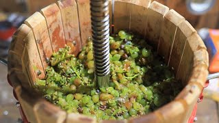 Making a White Wine from Grapes