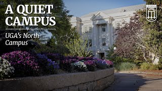 A New Perspective on UGA's North Campus