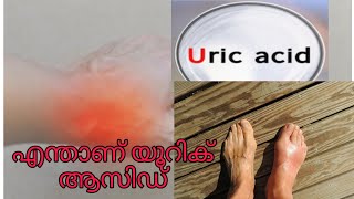 Uric Acid||എന്താണ് യൂറിക് ആസിഡ്, എങ്ങിനെയാണ് യൂറിക്  ആസിഡ് ഒരു അസുഖം ആവുന്നത്||Mysha's Crazy  World