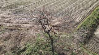 富山・晩秋の一風景　FHD：DJI Mavic Air2