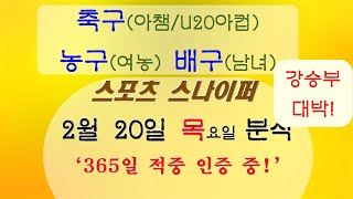 강승부 갑니다 쉽다 진짜! 2월 20일 축구분석 배구분석 농구분석 (한국전력 삼성화재 도로공사 기업은행) 남자배구 여자배구 스포츠분석 토토분석 프로토분석 축구승무패