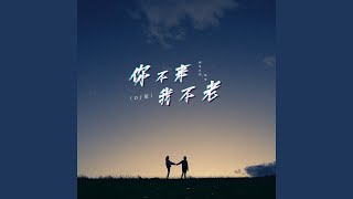 你不来我不老 (Dj版)