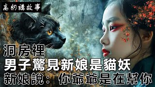 民間故事：洞房裡，男子驚見新娘是貓妖，新娘說：你爺爺是在幫你｜高朗講故事