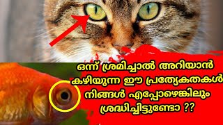 Top 10 Interesting facts in malayalam | 10 രസകരമായ വസ്തുതകൾ മലയാളത്തിൽ