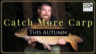 Carp Fishing ~ Autumn Tactics and Campaign Planning (simple tips to catch more carp)