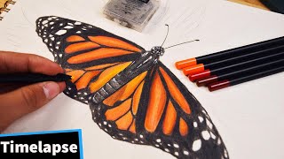 HYPER Realistic BUTTERFLY Drawing | TIMELAPSE