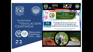 Ecología de Batrachochytrium dendrobatidis e impactos en poblaciones silvestres de anfibios