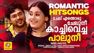 ചേല് എന്തൊരു ചേലുനീ കാച്ചിവെച്ച പാലുനീ | Album Song | Neelakuyil | Abdulla Kalanad | SindhuPremkumar