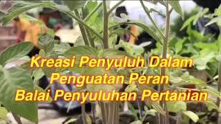 Kreasi Penyuluh Dalam Penguatan Peran Balai Penyuluhan Pertanian